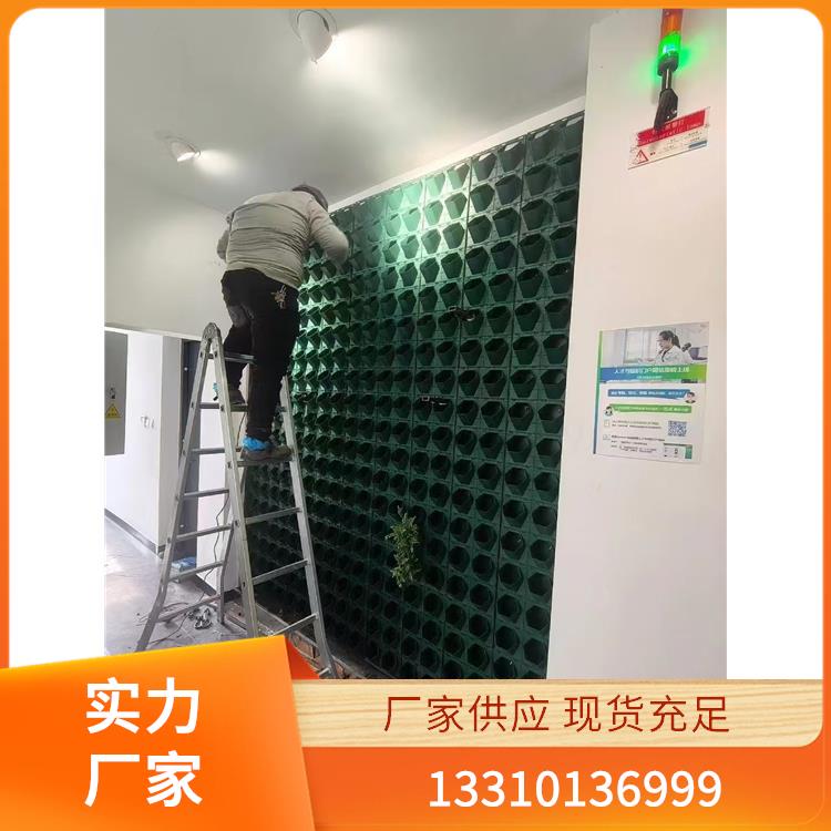 嘉兴植物墙 案例8