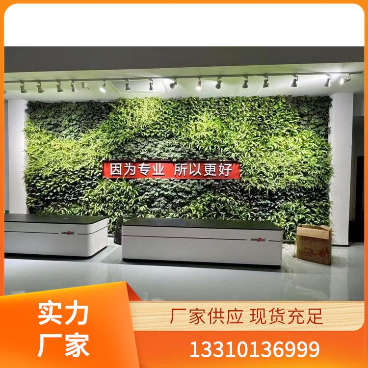 植物墙案例1