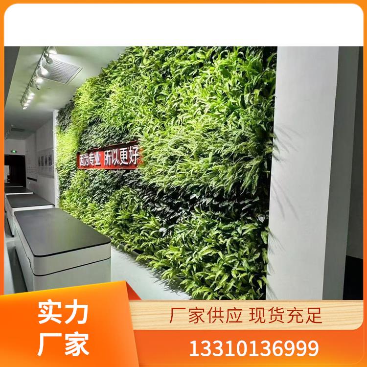 嘉兴植物墙 案例5