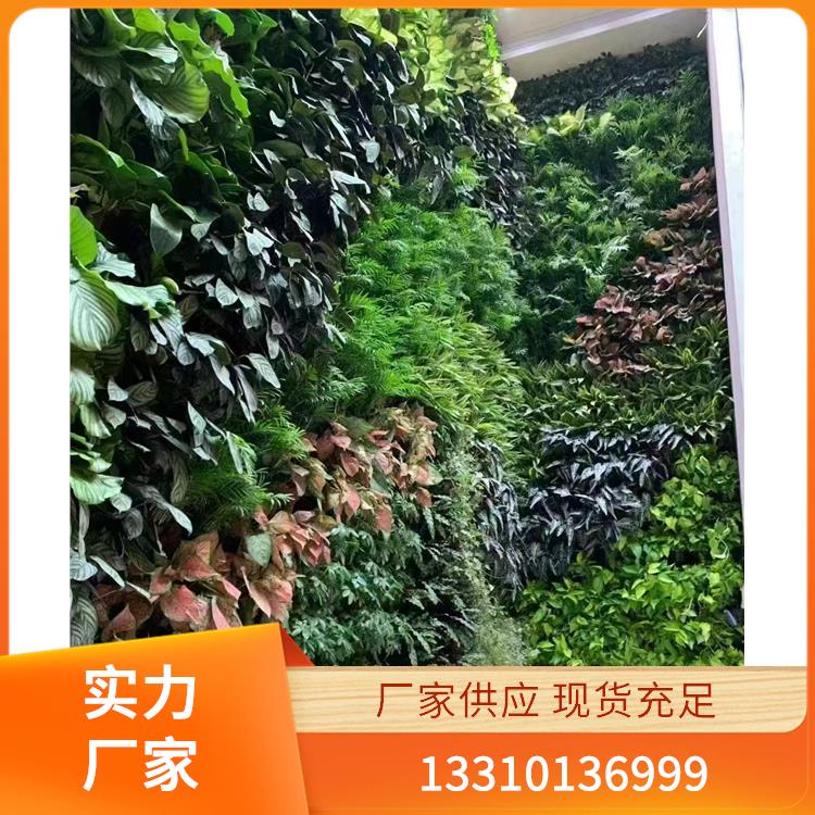 植物墙案例2