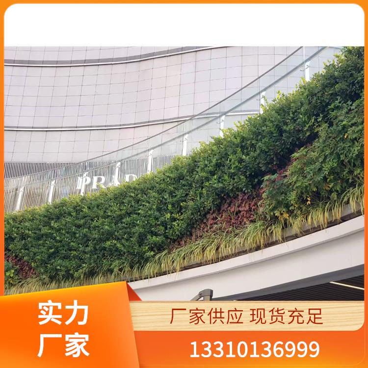 植物墙案例7