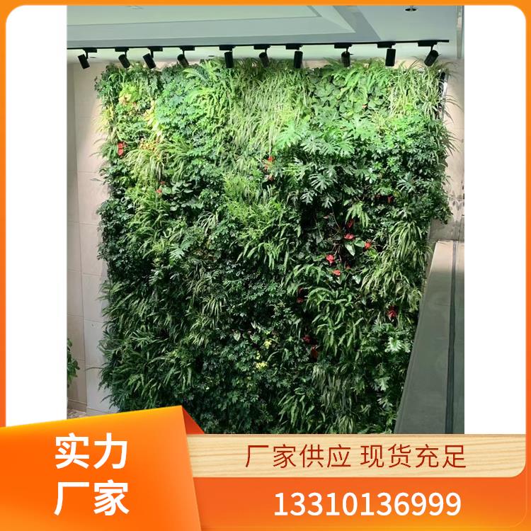植物墙案例1