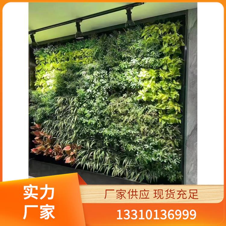 嘉兴植物墙 案例7