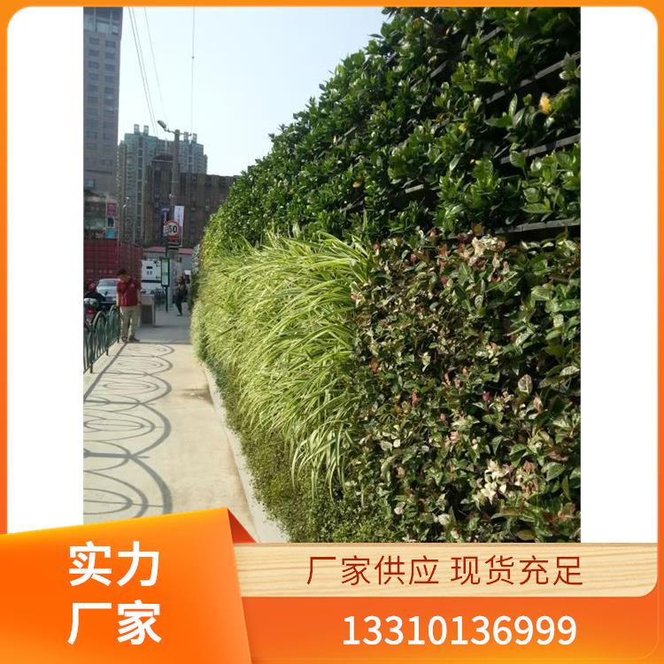 植物墙案例7