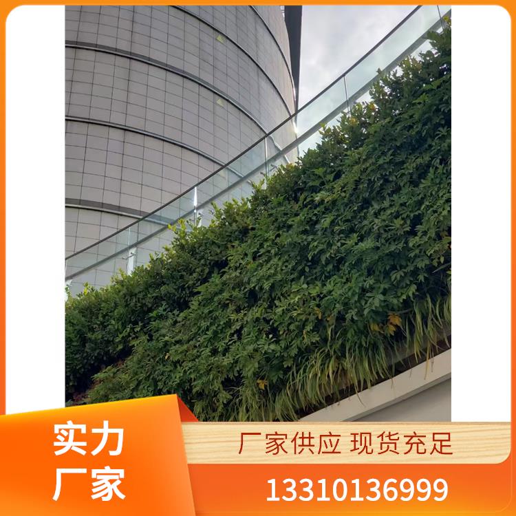 植物墙案例3