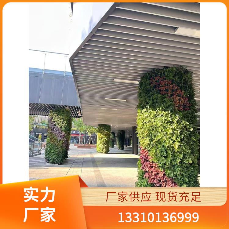植物墙案例3