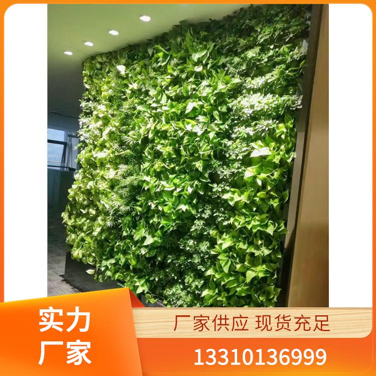 植物墙案例6