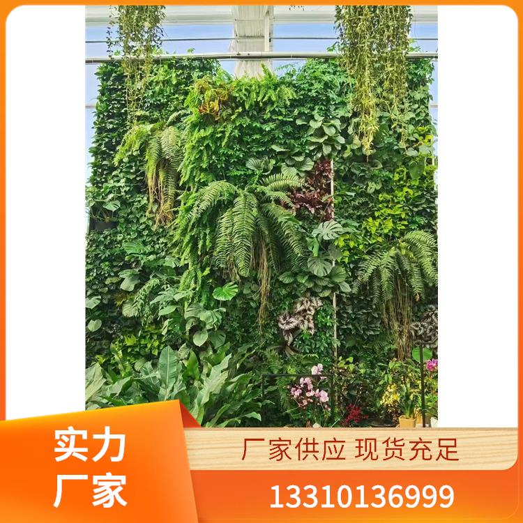 植物墙案例7