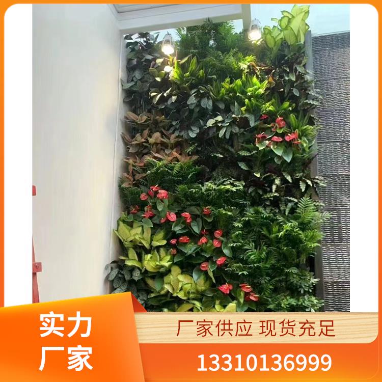 嘉兴植物墙 案例6