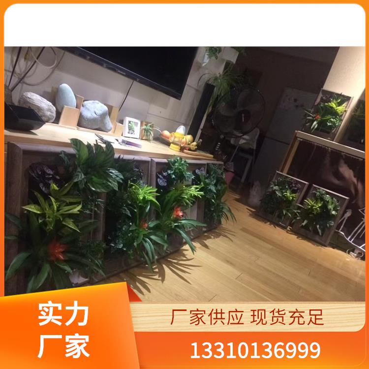 永生苔藓案例1