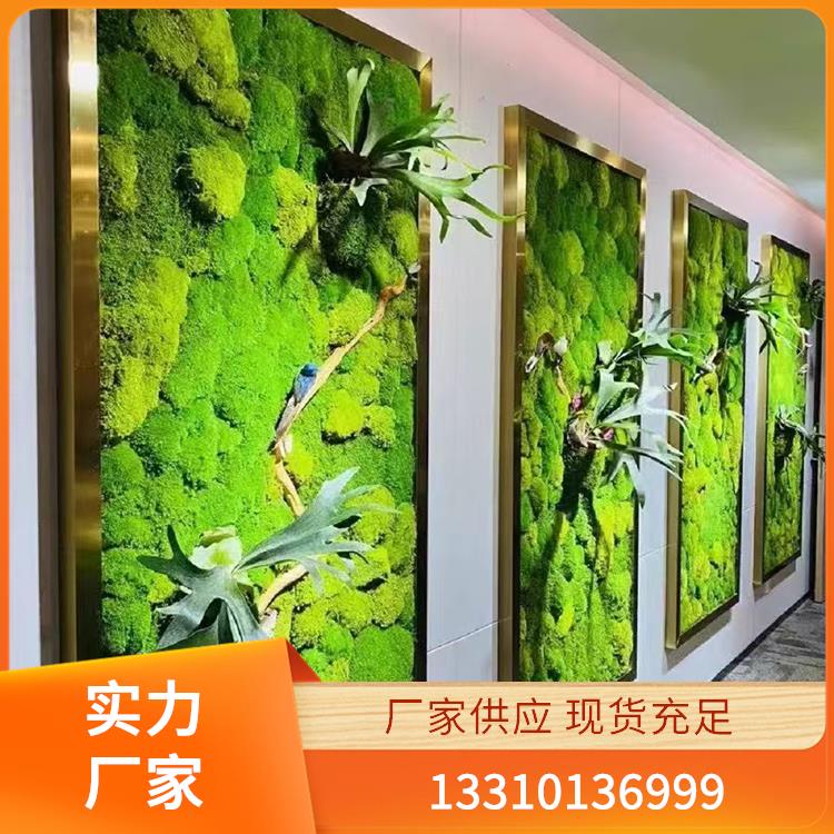 永生苔藓案例8