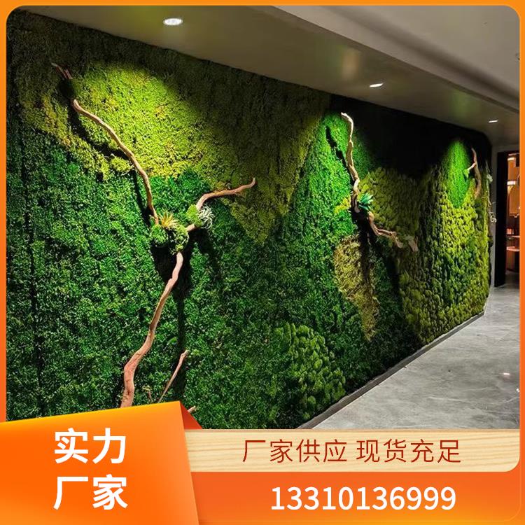 永生苔藓案例6