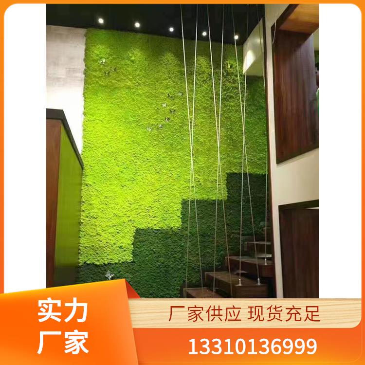 永生苔藓案例3