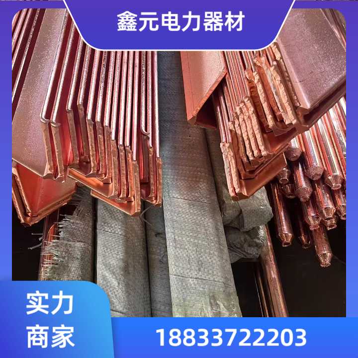 合金专用接地线