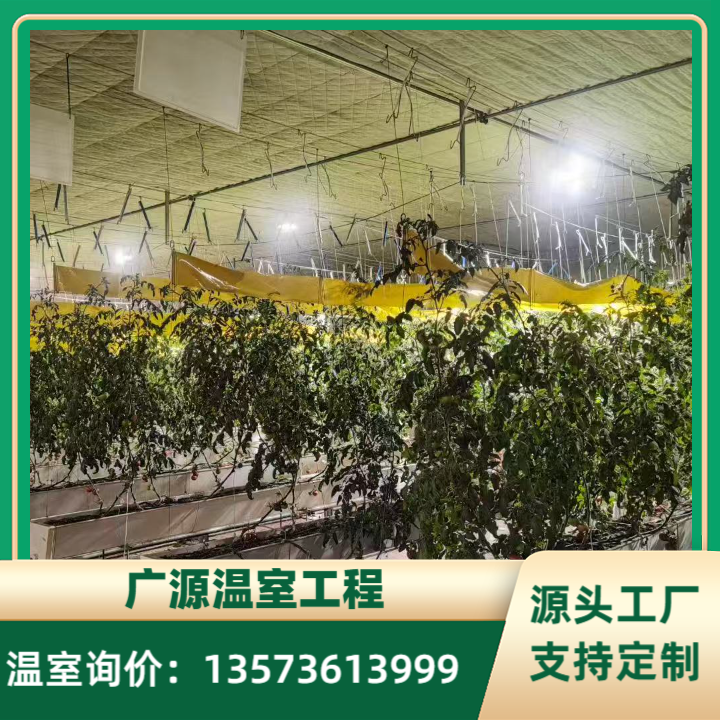 中山无土栽培