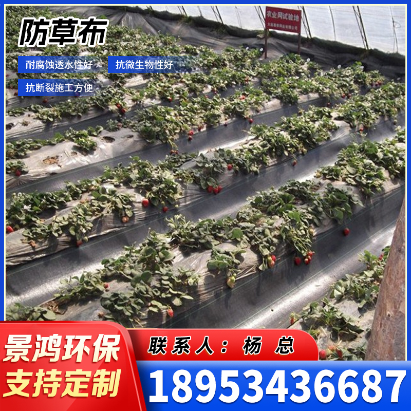 烟台防草布
