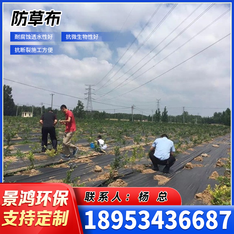 烟台防草布