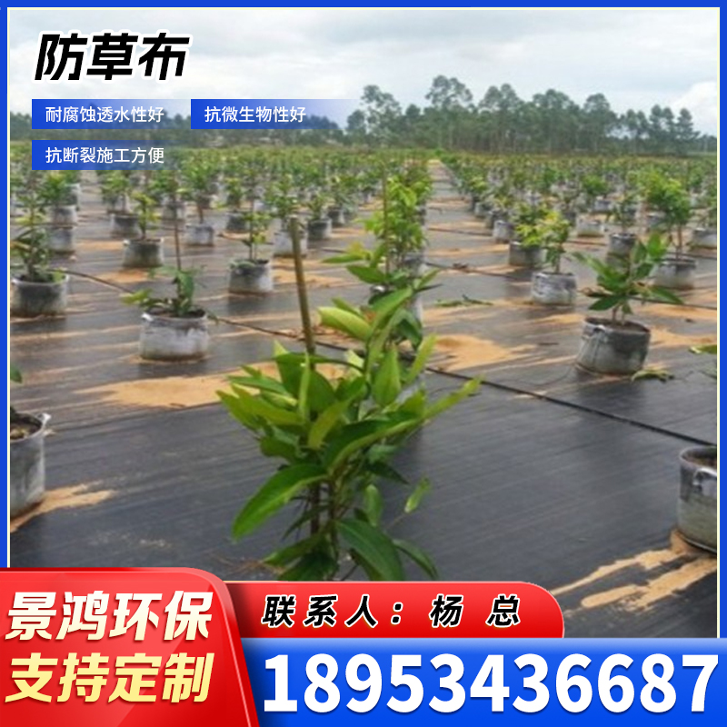 烟台防草布