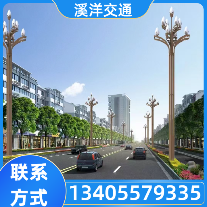太阳能路灯 产品六