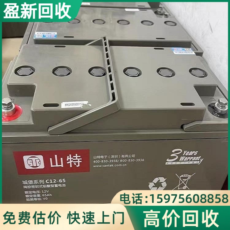 UPS电池