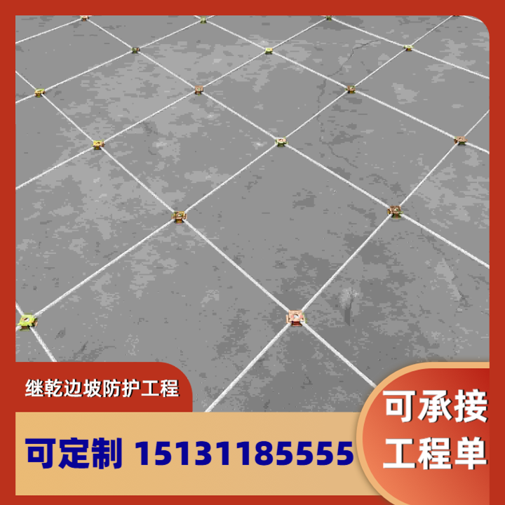 自贡主动防护网 GPS1标准款